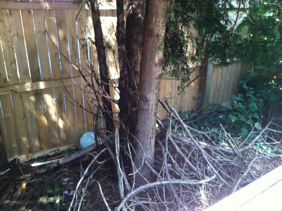 photo 524386_10151016924947285_70581933_n.jpg